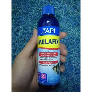Dung dịch kháng khuẩn melafix và pimafix