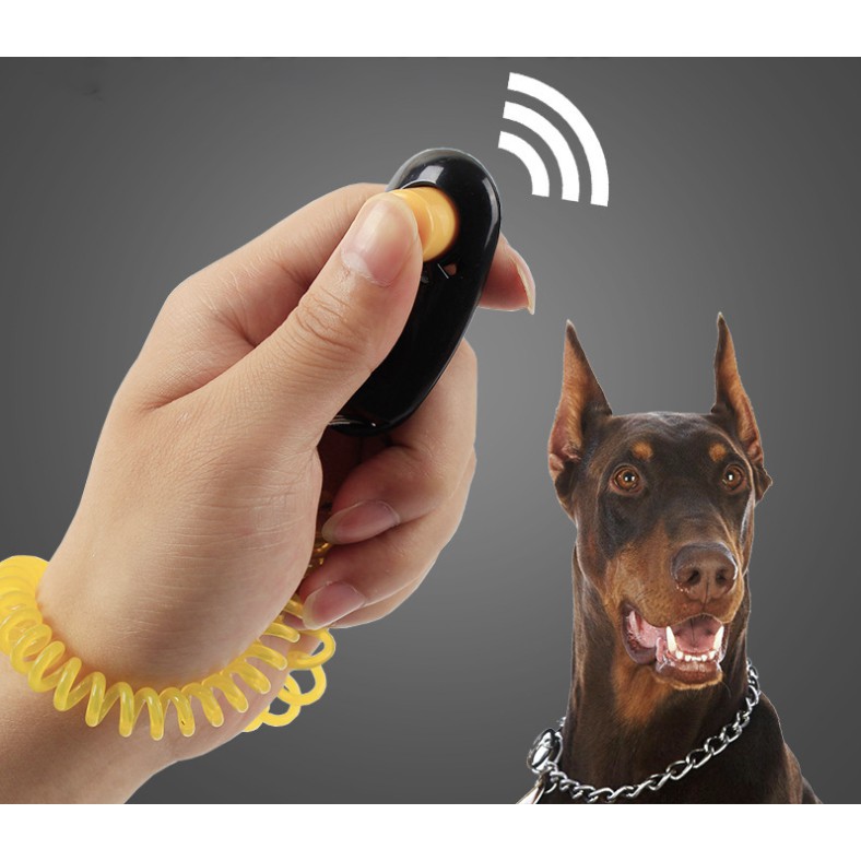 Clicker huấn luyện chó I-click, bấm đào tạo mệnh lệch cho thú cưng Con Mèo Xiêm