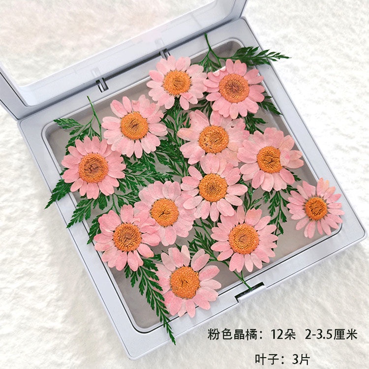 Miếng Dán Trang Trí Hình Cánh Hoa Cho Cô Dâu