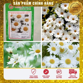 Hạt Giống Hoa Cúc Chi Trắng (50 hạt)