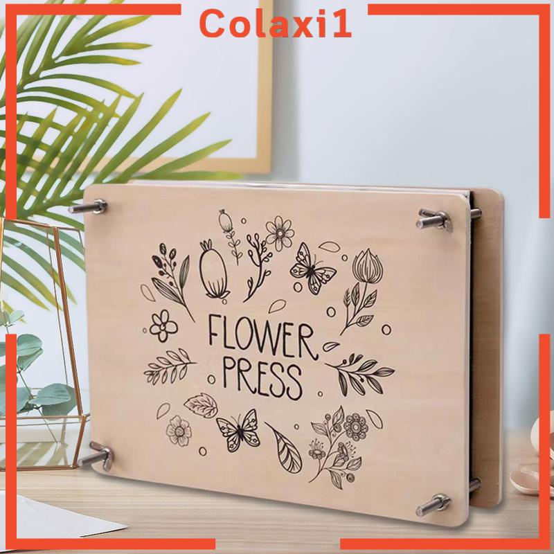 Bộ Hoa Khô Dạng Nhấn Dùng Để Cắt Mặt Dây Chuyền DIY 1