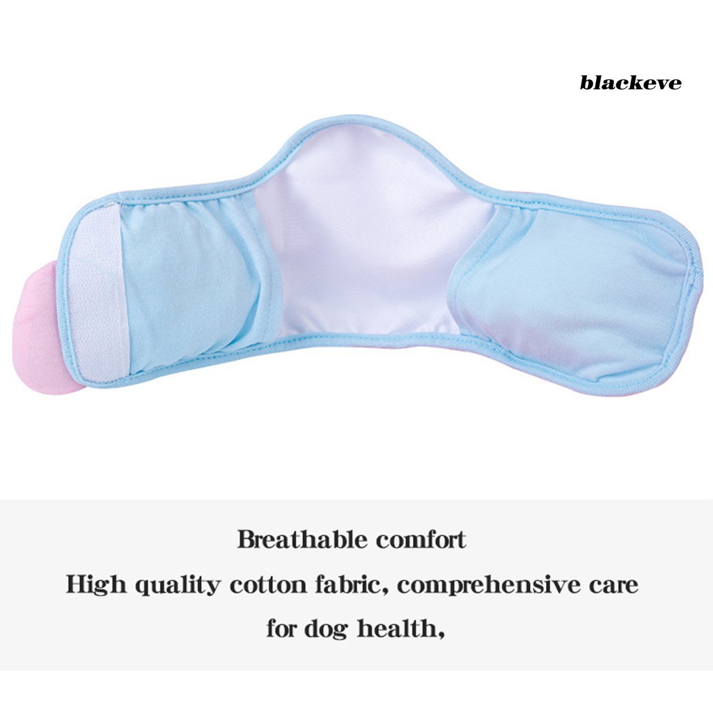 Quần Lót Cho Thú Cưng Họa Tiết Hoạt Hình Dễ Thương