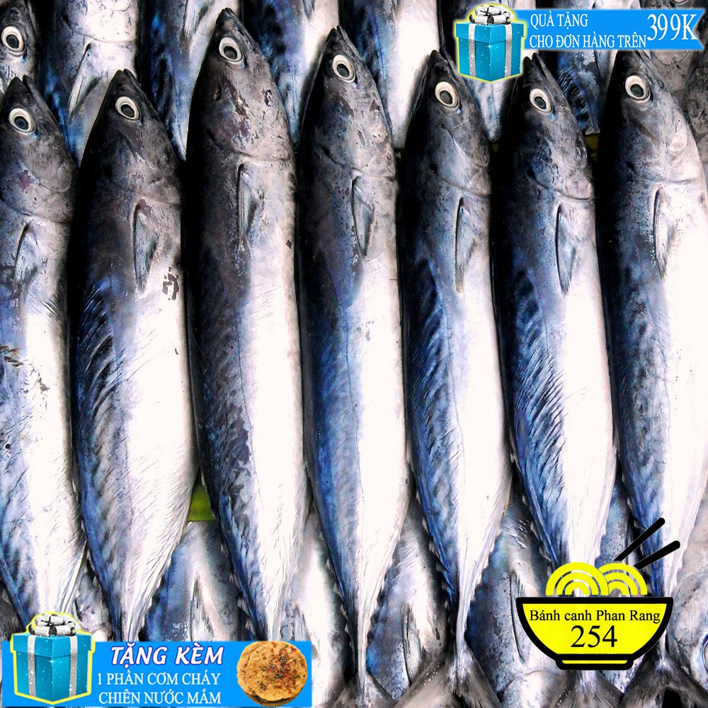 Cá Ngừ đại dương 1kg