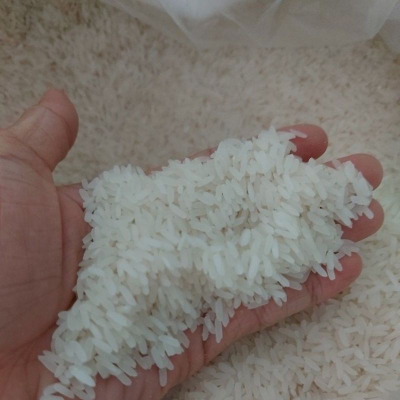 Gạo thơm dẻo -Gạo Lài Sữa