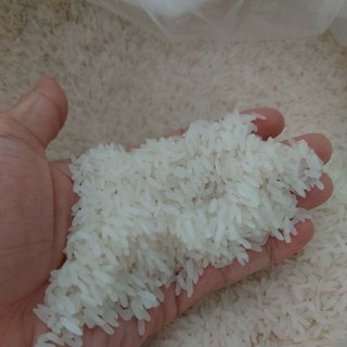 Gạo thơm dẻo -Gạo Lài Sữa