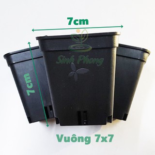 Chậu vuông 7x7 đen (Set 100 cái).