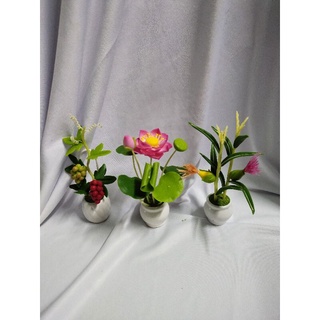 Combo 3 chậu hoa mini cao 14cm đến 15cm