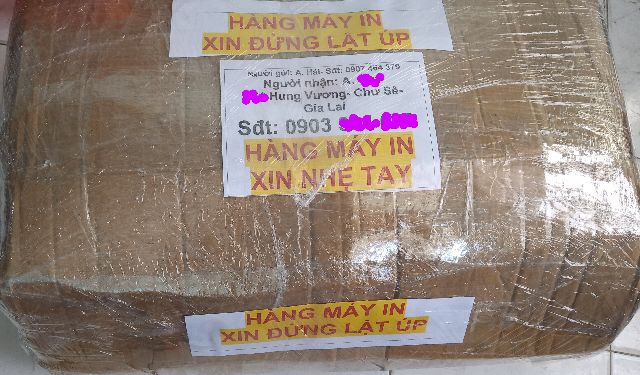 Máy Epson A3 in film nhựa