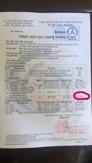 Tinh dầu tràm Cung Đình Vỹ Dạ