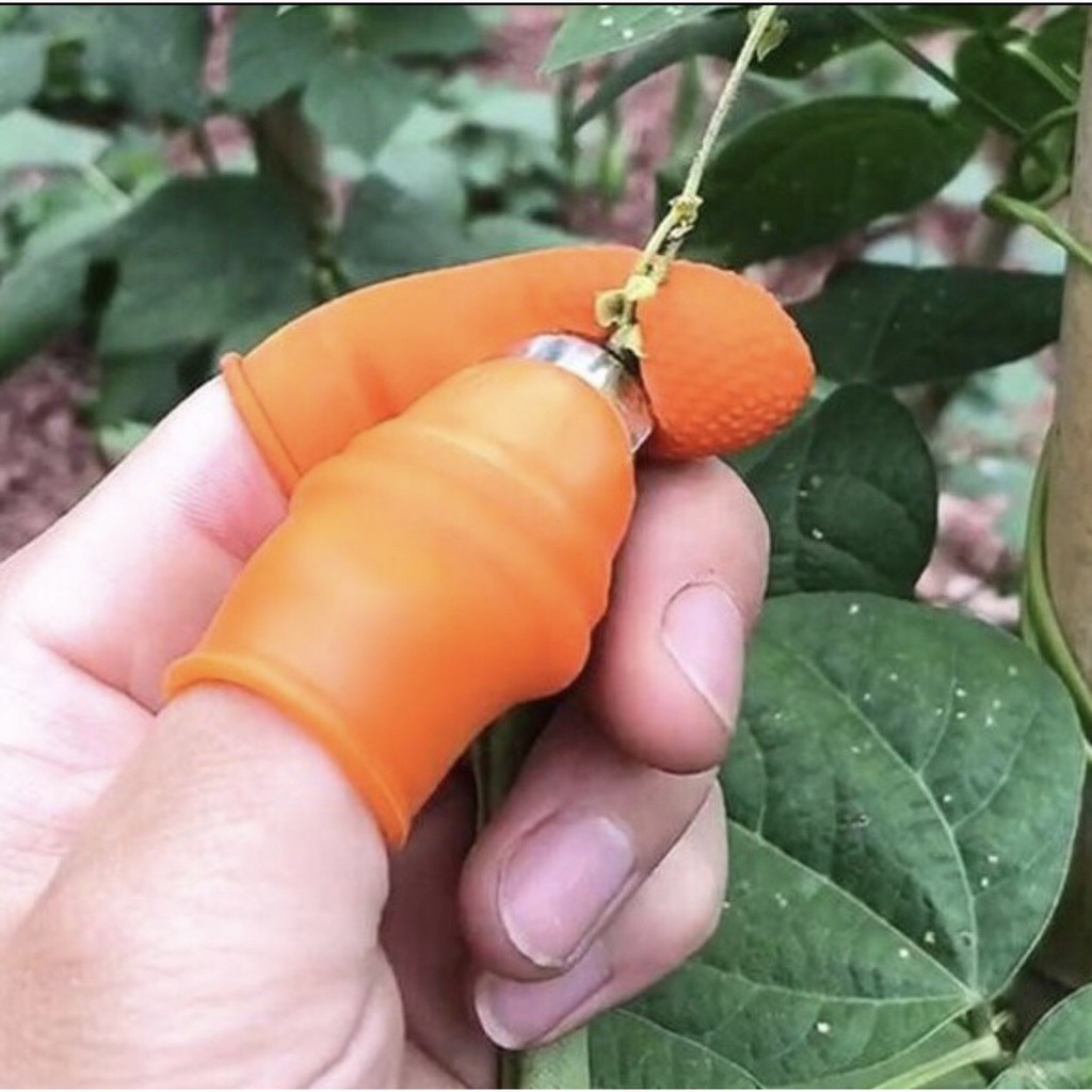 Bộ móng nhặt rau củ chống bẩn móng tay