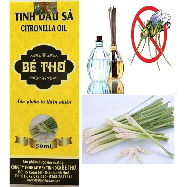 Tinh dầu Tràm, Sả, Quế Bé Thơ, tinh dầu tràm Huế nguyên chất (dung tích 50ml)