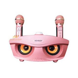 LOA BLUETOOTH KARAOKE MINI SD-306 - MICRO ĐA NĂNG CAO CẤP ❤️ !
