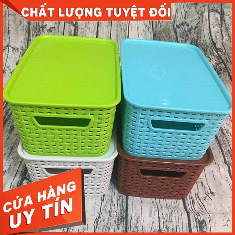 Bộ 2 rổ nhựa đan phong cách hàn quốc size trung - Thùng đựng đồ bằng nhựa giả mây có nắp đậy.