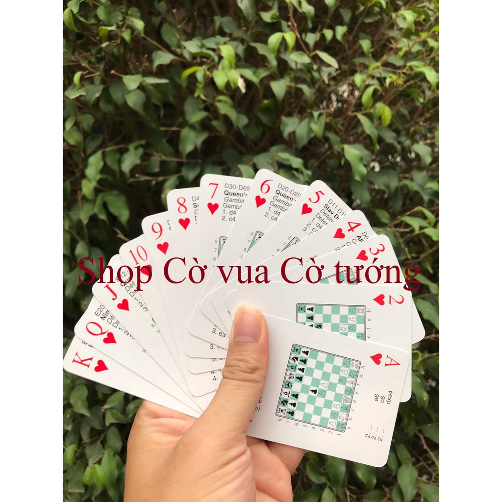 COMBO 5 BỘ TÚ LỚ KHƠ KHAI CUỘC CỜ VUA