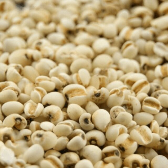 HẠT BO BO 1kg