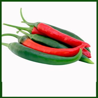 HẠT ỚT SIÊU CAY F1-777 CHILI - GÓI 0,5 GRAM