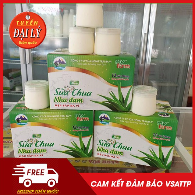 [TUYỂN SỈ SỮA CHUA TRÊN TOÀN QUỐC 6X] SỮA CHUA BA VÌ MY FRAM ĐẢM BẢO VSATTP, KHÔNG CHẤT BẢO QUẢN, HSD 1 THÁNG.