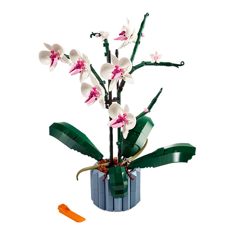 Đồ Chơi LEGO Hoa Lan Lego 10311