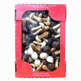  Bánh Quy Nấm Socola Nga Hộp 300g 