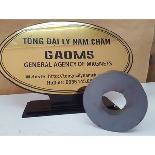 Nam châm Ferrite 100x20mm lỗ 40mm