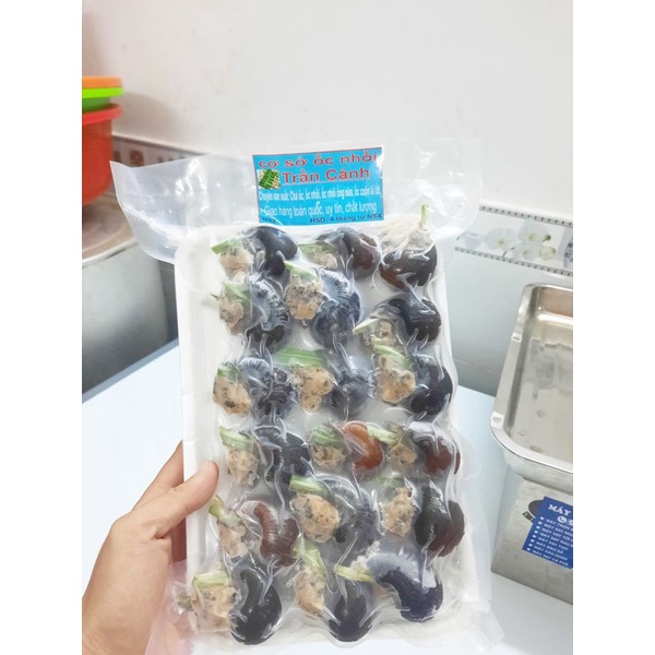 Ốc Bưu Nhồi Thịt Khay 12 con