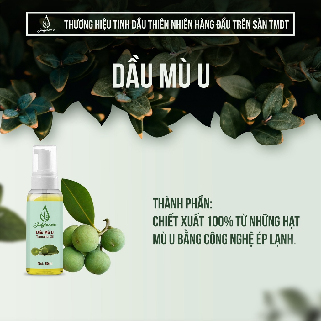 Dầu dưỡng da Dầu dừa, dầu oliu, dầu mù u nguyên chất 50ml/100ml Julyhouse dưỡng ẩm, mờ thâm hiệu quả