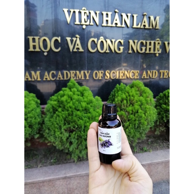 (Sỉ sll) Tinh dầu hoa Oải Hương( Lavender) 10ml-50ml nguyên chất 100% tự nhiên của Viện Hàn Lâm KHCNVN