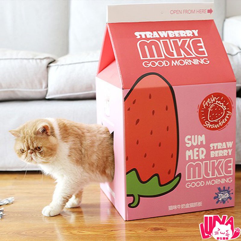 Hộp Box Cào Móng Cho Mèo - Kèm Bàn Giấy Cào Móng (Tặng Catnip)