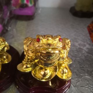 Thiềm thừ - cóc 3 chân - cóc chiêu tài