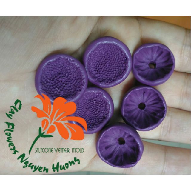 Gân Đài Cúc silicone