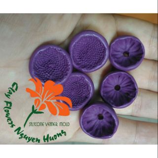 Gân Đài Cúc silicone