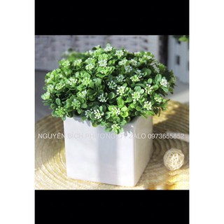 🍀 Lá Điểm Cành Ngâu Decor