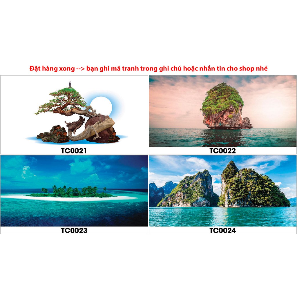 Tranh hồ cá TC tiểu cảnh có keo sẵn