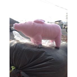 HEO BÔNG SIZE TO (80 CM)