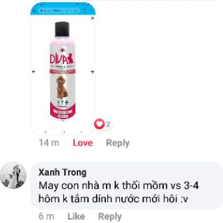 Sữa tắm cho chó mèo diva