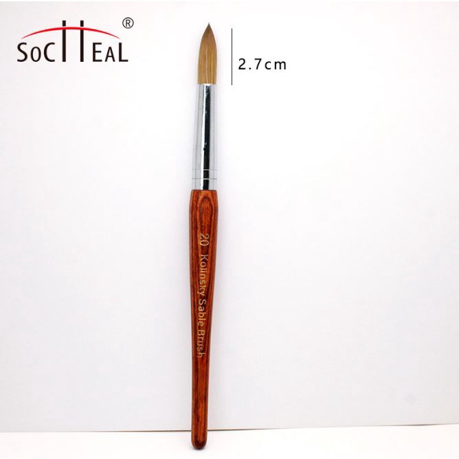 Cọ đắp bột nail kolinsky germany (cán gỗ)
