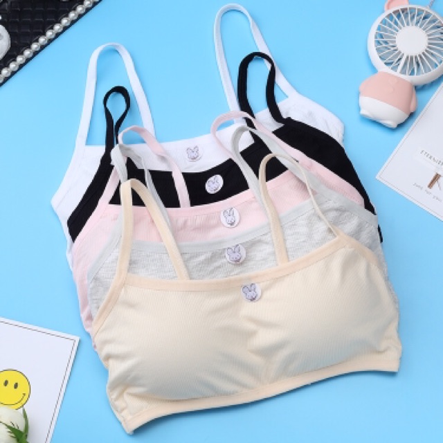 Áo bra học sinh cotton áo Lá Học Sinh Cotton Thỏ | BigBuy360 - bigbuy360.vn