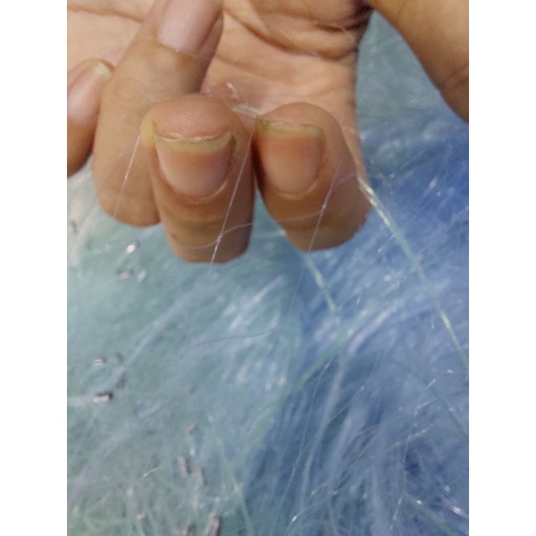 Lưới 1 màn giăng bắt Cá Rô, Cá Sặc, Cá Lòng Tong