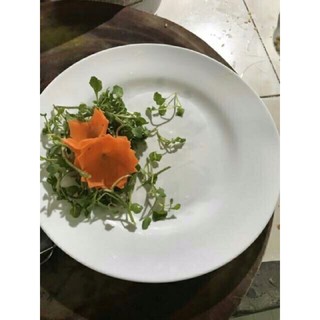 Dụng cụ xoáy hoa cà rốt