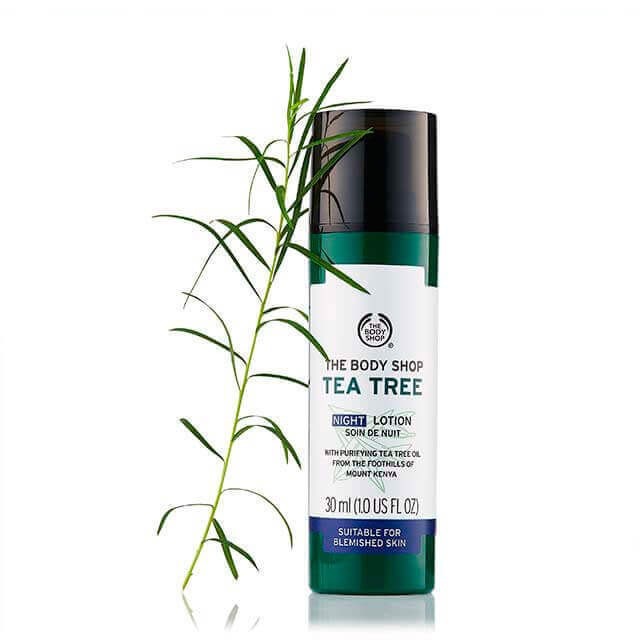 Sữa Dưỡng Ẩm Ban Đêm Tea Tree Night Lotion 30ML