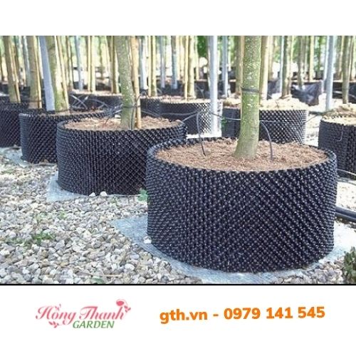 Đế bầu ươm ĐK20cm dùng cho bầu ươm thông minh v6, ươm vườn hoa cây cảnh, cây ăn quả