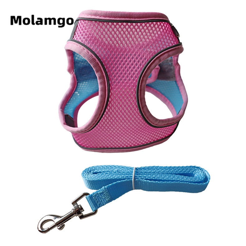 Dây Dắt Thú Cưng Phản Quang Thoáng Khí Kèm Dây Dắt