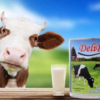 [LẺ GIÁ SỈ] 12 lon SỮA ĐẶC DELIPURE 380g