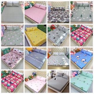 BỘ GA GỐI COTTON POLY - ẢNH THẬT TẠI SHOP