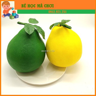 Quả bưởi giả loại xịn - loại to như thật