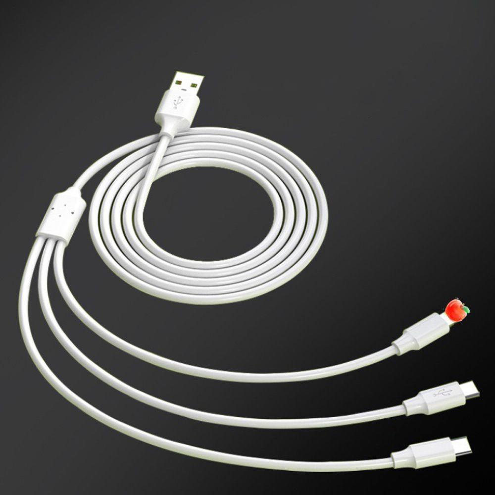 Dây Cáp Sạc Truyền Dữ Liệu Micro USB Loại C 3 Trong 1