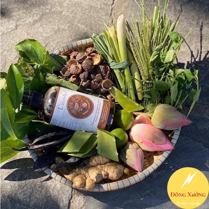 TRỞ VỀ VỚI TRUYỀN THỐNG VÀ THIÊN NHIÊN cùng DẦU GỘI THẢO DƯỢC L'aturelle 500ml | BigBuy360 - bigbuy360.vn