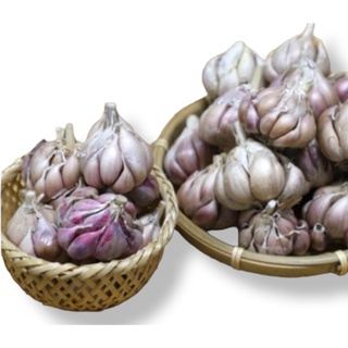 1 kg Tỏi Bắc chuẩn vị loại ngon