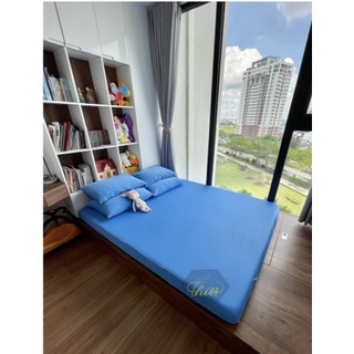 Bộ ga thun lạnh datrieng01