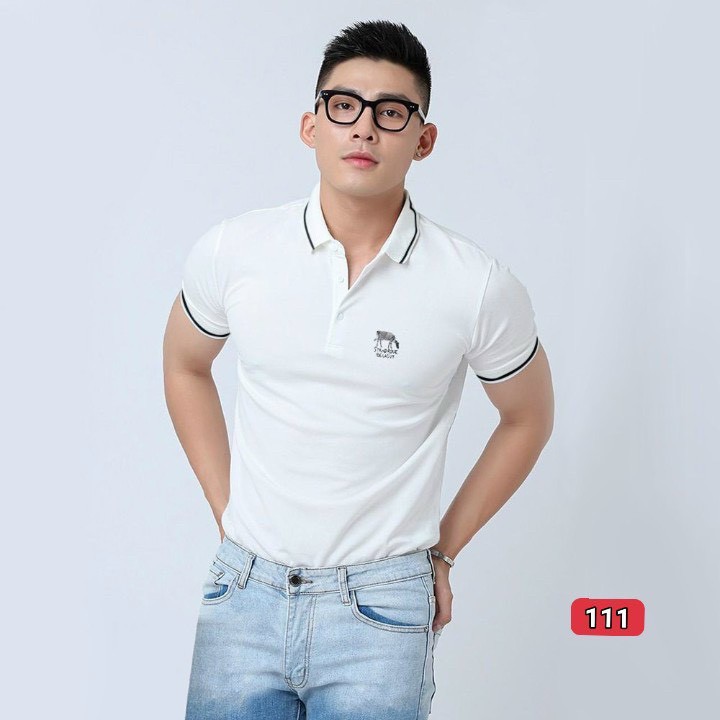 Áo thun nam cao cấp murad_fashion, áo phông nam màu trắng thêu logo đẹp phong cách thời trang nam 2021 atn111 | BigBuy360 - bigbuy360.vn